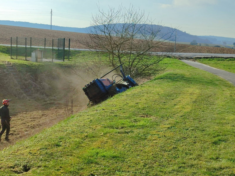 Débroussaillage forestier par Prolame - réalisation 41