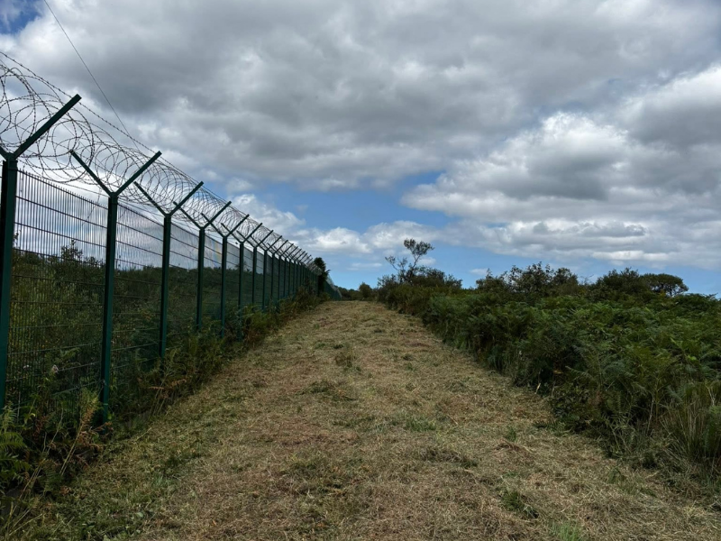 Débroussaillage forestier par Prolame - réalisation 44