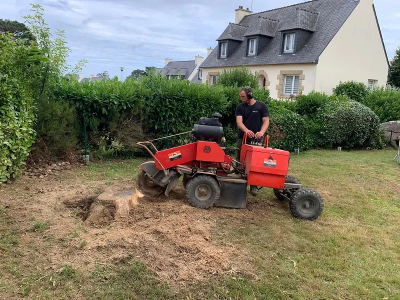 Élagage et abattage par Prolame - réalisation 16