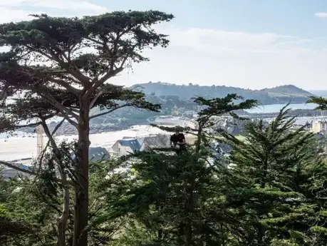 paysagiste à Paimpol - image 2