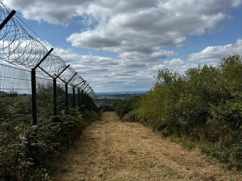 Débroussaillage forestier par Prolame - réalisation 45