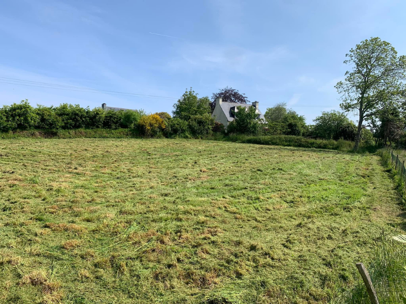 Débroussaillage forestier par Prolame - réalisation 38