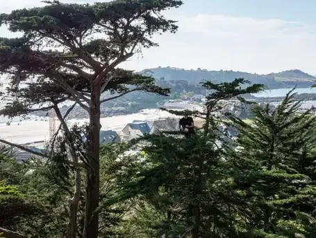 pose de clôture à Guingamp - image 2