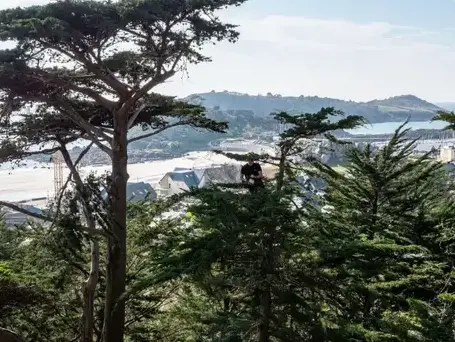 pose de clôture à Morlaix - image 2