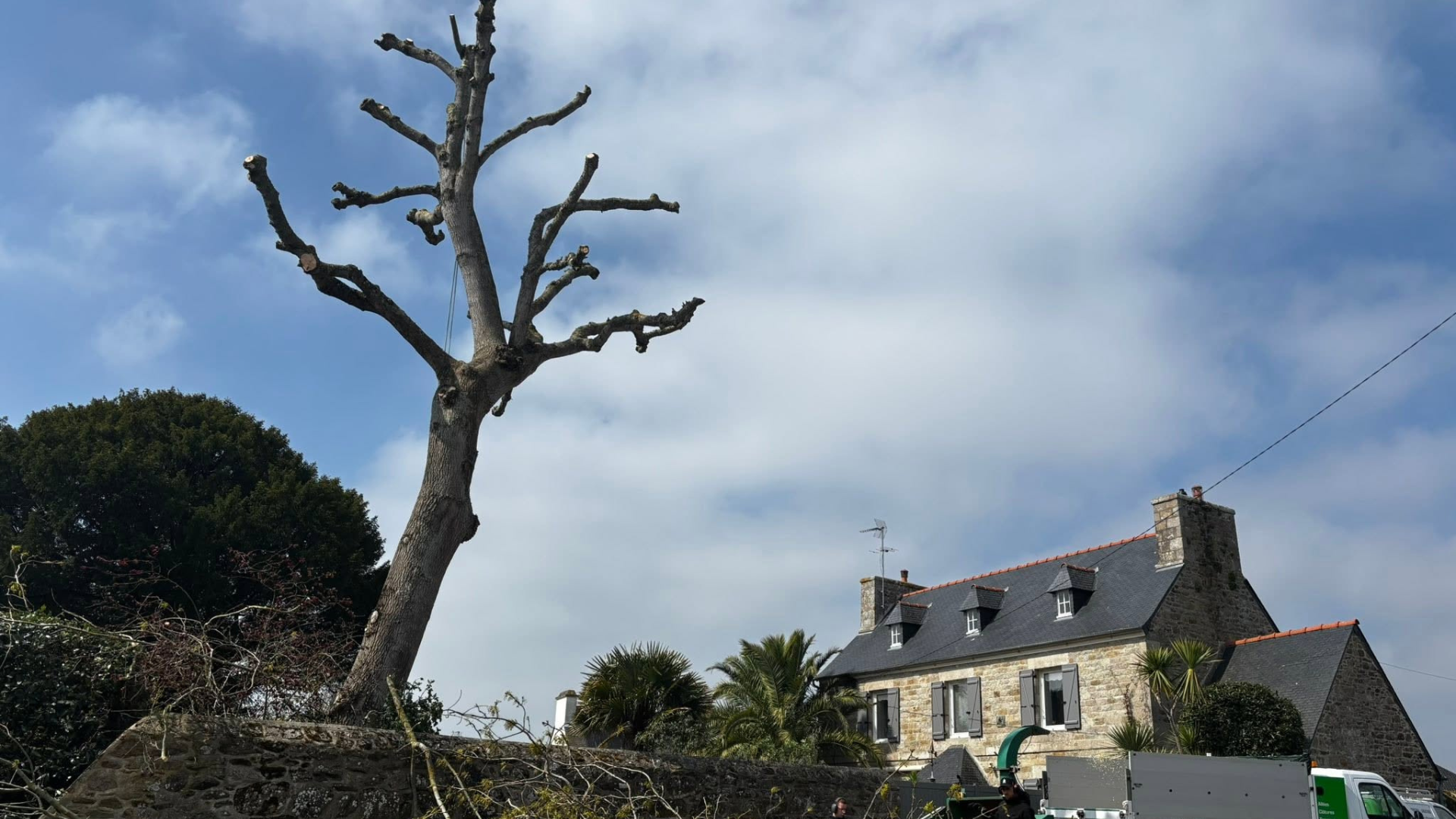 Travaux d’élagage et d’abattage réalisés par Prolame