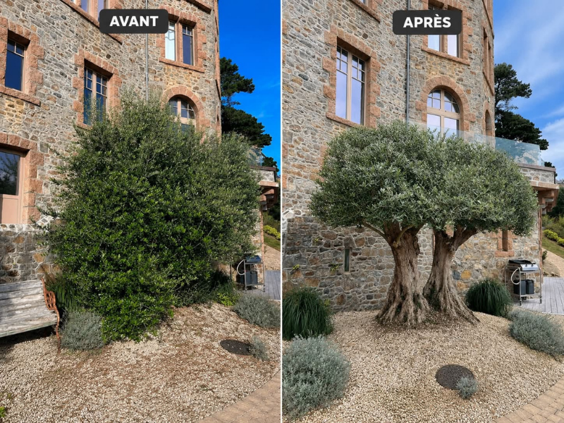 Élagage et abattage par Prolame - réalisation 35