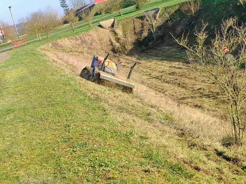 Débroussaillage forestier par Prolame - réalisation 43